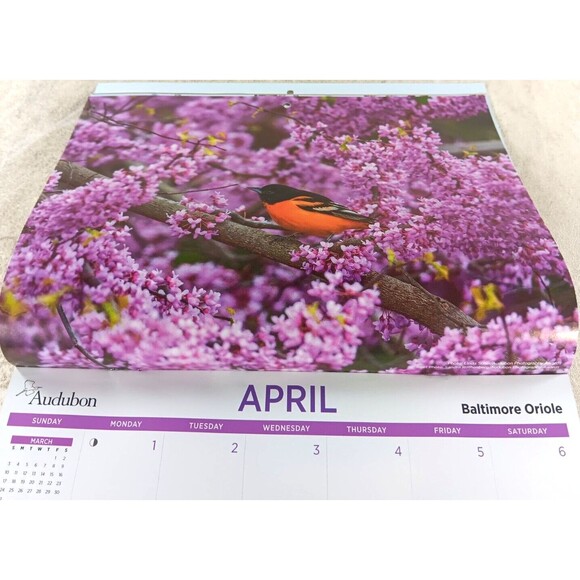 Audubon Society 2024 Wall Calendar 12 Months Protecting Birds and Nature - Picture 5 of 12